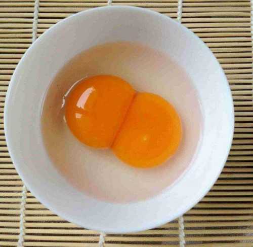 2023郑州借卵试管医院排名公开附河南前三供卵机构详细介绍-吃鸡手游 - 百度